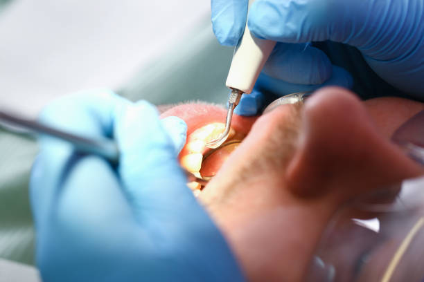 Best Emergency Pediatric Dental Care in Kenova, WV